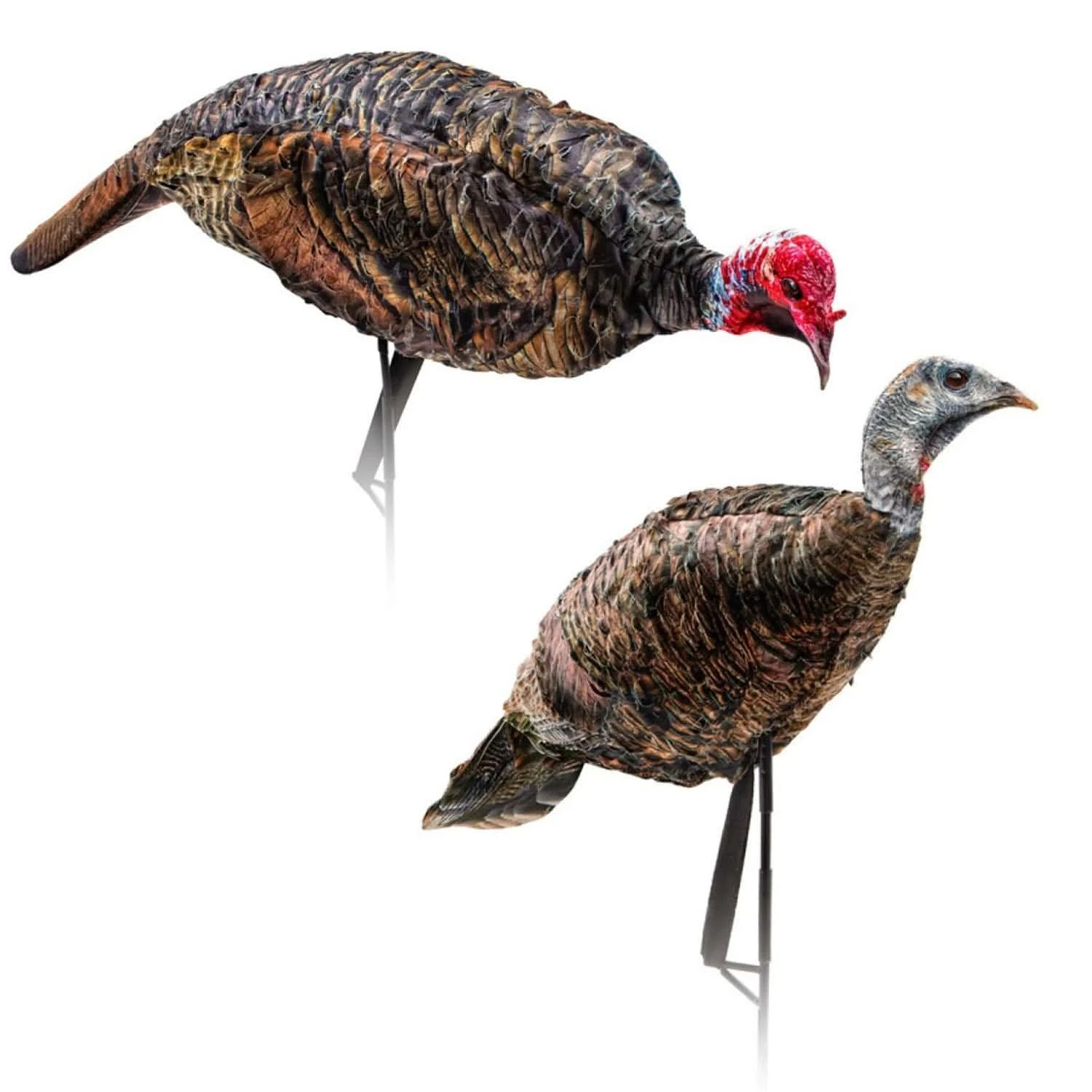 Montana Decoy Company Turkey Purrfect Pair XD Combo Jake & Hen 0086